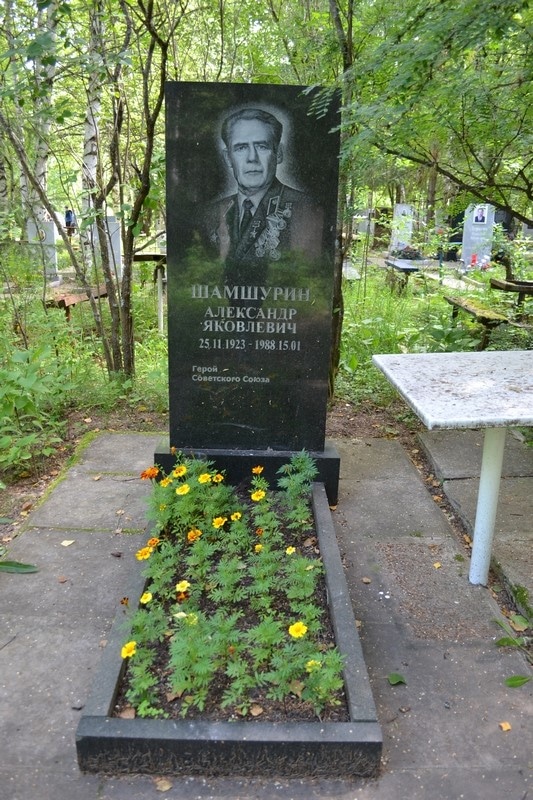 Могила Героя Советского Союза А.Я. Шамшурина
